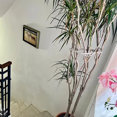 Bnbook Casa Giolito Apartament